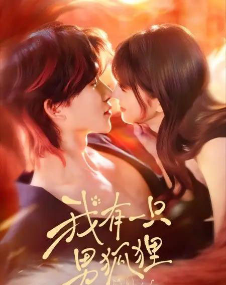 我有一只男狐狸（48集全）张集骏＆田甜一-紫橙网创项目网