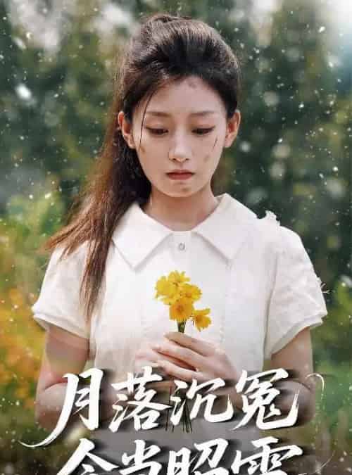 月落沉冤今当昭雪 月落沉冤今当昭雪