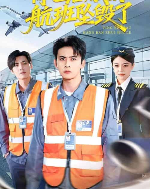 停飞后,我的航班坠毁了(100集全)刘渝展&李宣锦-紫橙网创项目网