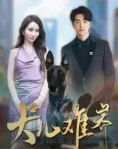 犬儿难养（38集）张炘童 - 紫橙阁短剧