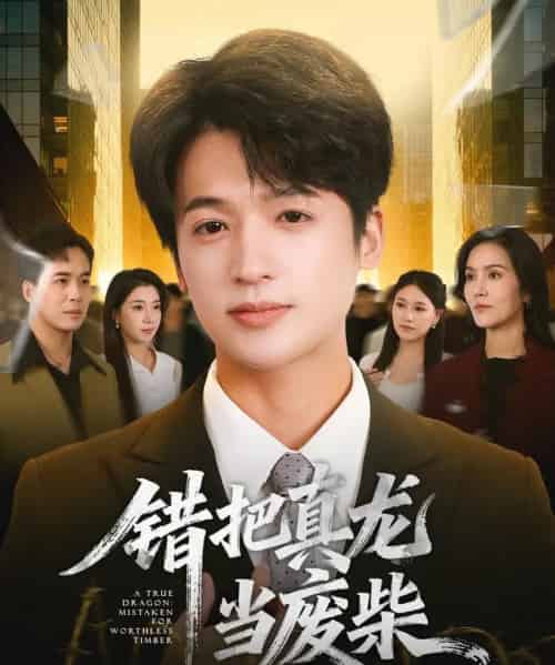 错把真龙当废柴（71集全）博之＆张翎月-紫橙网创项目网