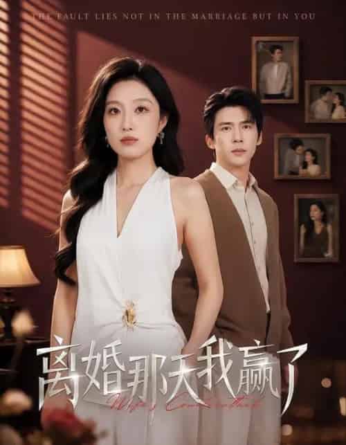 离婚那天我赢了（60集全）韩惟＆冯思源-紫橙网创项目网