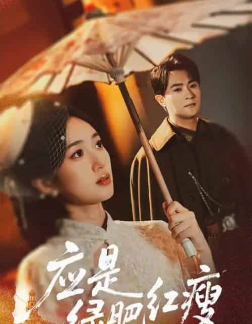 应是绿肥红瘦(111集全)杨文昊&史小叶-紫橙网创项目网