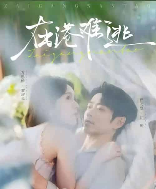 在港难逃（74集全）曹天恺＆方思畅 - 紫橙阁短剧