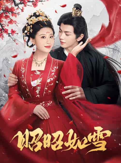 昭昭如雪（60集全）叶皓然＆于小婉儿 - 紫橙短剧