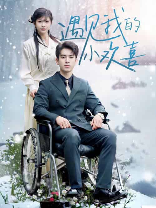 遇见我的小欢喜（70集全）阮俊杰＆毛丽婷 - 紫橙阁短剧