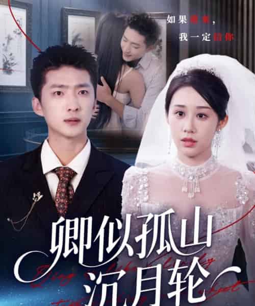 卿似孤山沉月轮 卿似孤山沉月轮