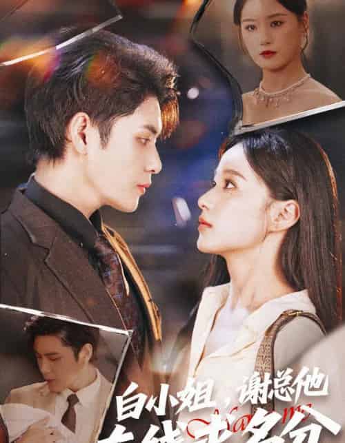 白小姐，谢总他在线求名分（56集全）张志伟＆王宇婧-紫橙网创项目网