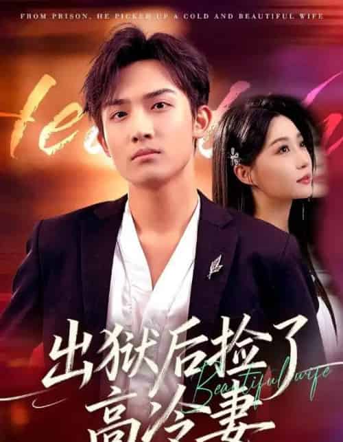 出狱后捡了高冷妻（71集全）沈樑＆冯瑞-紫橙网创项目网