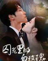 囚笼里的白玫瑰（59集全）李明轩-紫橙网创项目网