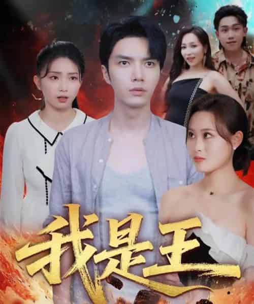 我是王（70集全）史庭赫＆卫子千-紫橙网创项目网