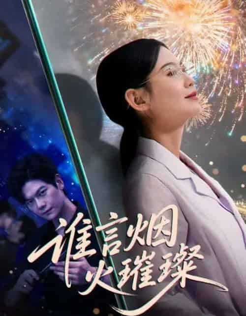 谁言烟火璀璨(61集全)刘瀚阳&赵珞姿-紫橙网创项目网