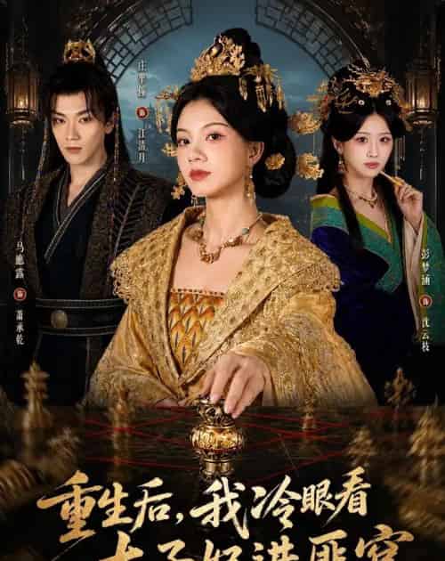 重生后，我冷眼看太子妃进匪窝（60集全）庄芈僮＆马鹰露-紫橙网创项目网