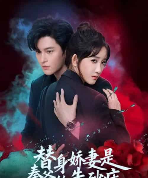替身娇妻是秦爷的朱砂痣（57集全）魏子翔＆张乙萌-紫橙网创项目网