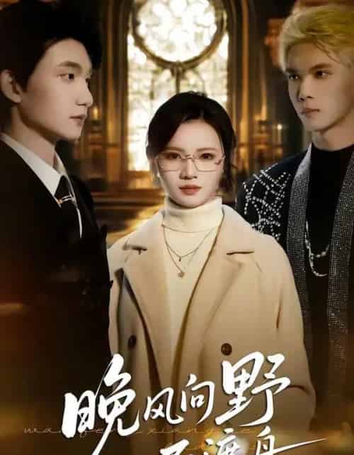 晚风向野不渡舟（60集全）丁紫嫣＆李昊成-紫橙网创项目网