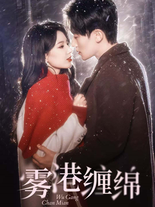 雾港缠绵（100集） - 紫橙阁短剧