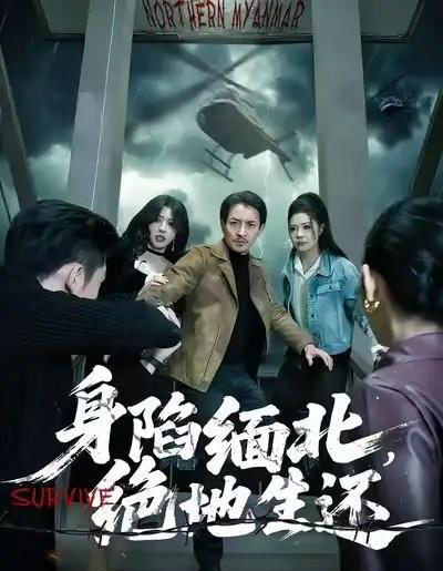 身陷缅北,绝地生还(70集全)孙梦涵&吴文璟-紫橙网创项目网