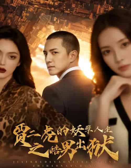 贾二虎的妖孽人生之皓男出狱（75集全）AI-紫橙网创项目网