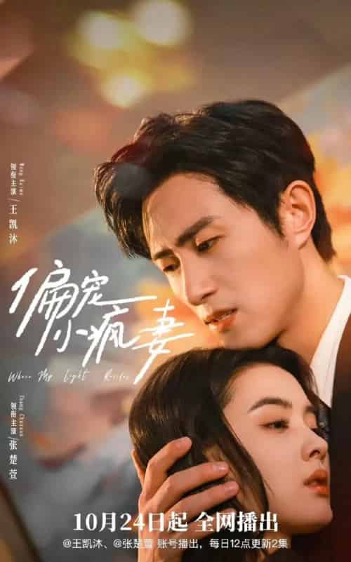 偏宠小疯妻 偏宠小疯妻