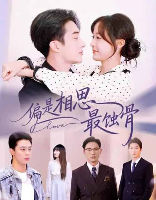 偏是相思最蚀骨＆烬爱无归处（70集全）叶庭＆白野-紫橙网创项目网