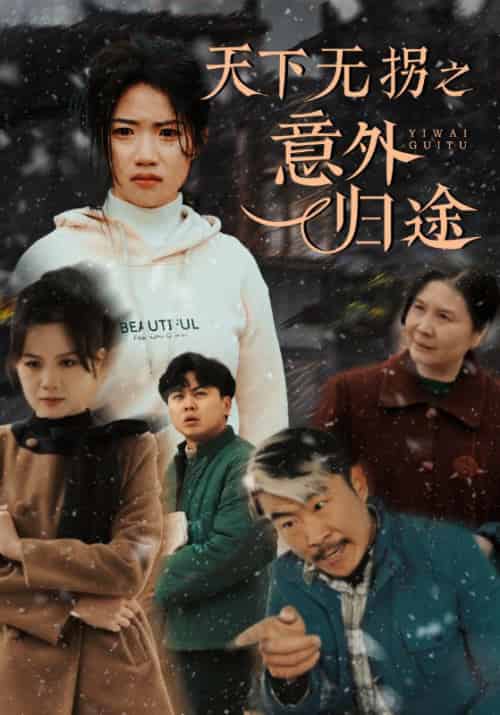 天下无拐之意外归途（61集全）高洁慧 - 紫橙阁短剧
