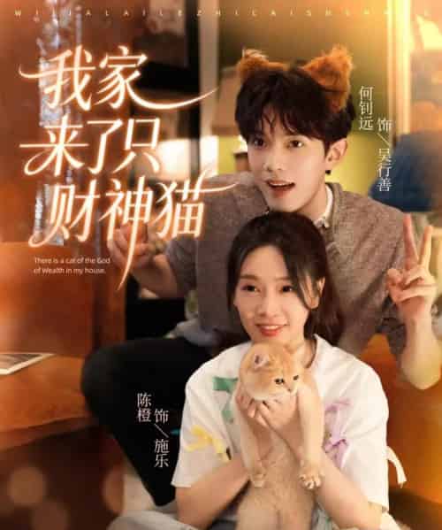 我家来了只财神猫（80集全）何钊远＆陈橙-紫橙网创项目网