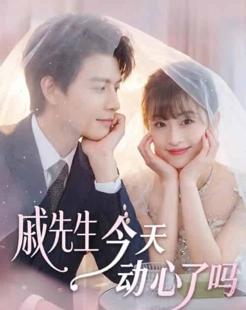 戚先生今天动心了吗（50集全）胥惠棠＆李彬航-紫橙网创项目网