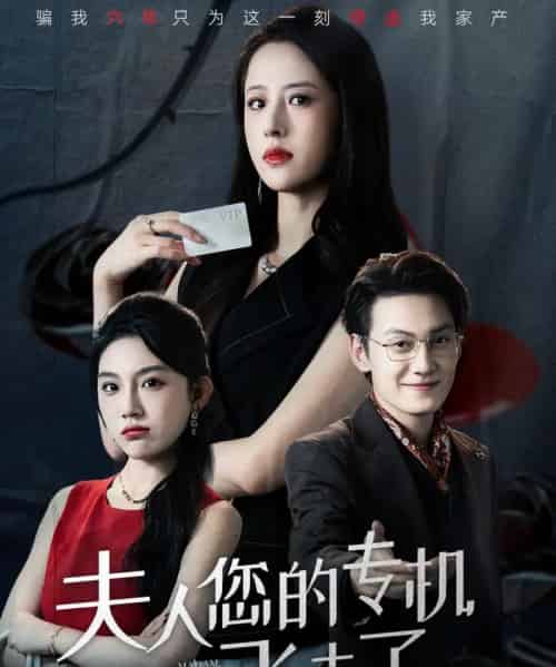 夫人您的专机飞走了 夫人您的专机飞走了