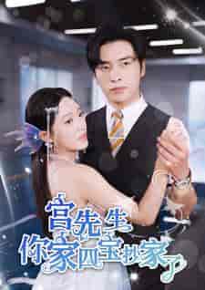 宫先生你家四宝抄家了（82集） - 紫橙阁短剧