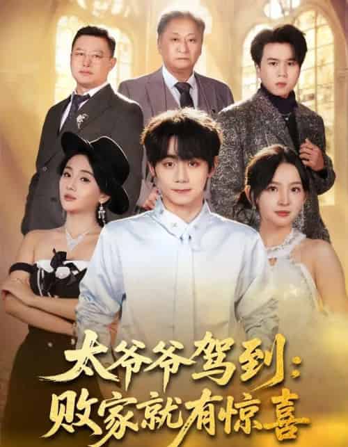 太爷爷驾到：败家就有惊喜（80集全）钟政＆张婉悦-紫橙网创项目网