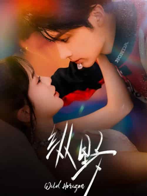 纵野(60集全)王子林&金雅娜-紫橙网创项目网