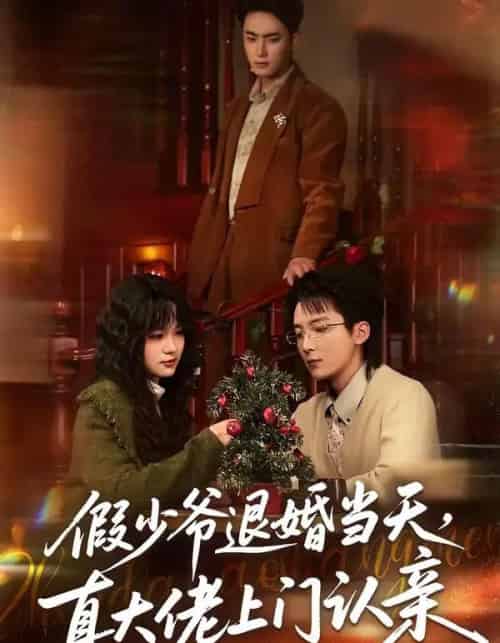 假少爷退婚当天，真大佬上门认亲（50集全）刘海燕＆周宇航-紫橙网创项目网