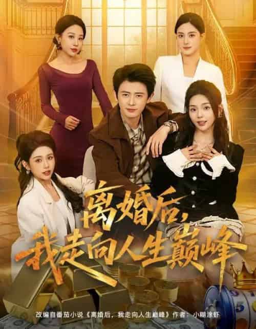 离婚后，我走向人生巅峰（85集全）朱梦茹＆王昭-紫橙网创项目网