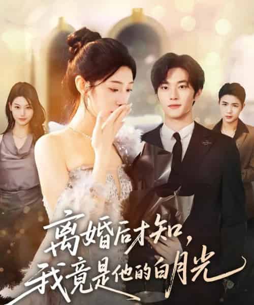 离婚后才知,我竟是他的白月光 离婚后才知,我竟是他的白月光