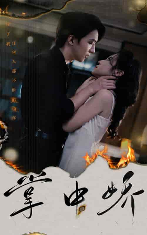 掌中娇（70集）-紫橙网创项目网