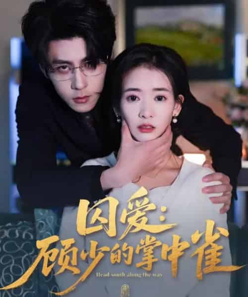 囚爱：顾少的掌中雀（70集全）安奕明＆刘姝妤-紫橙网创项目网