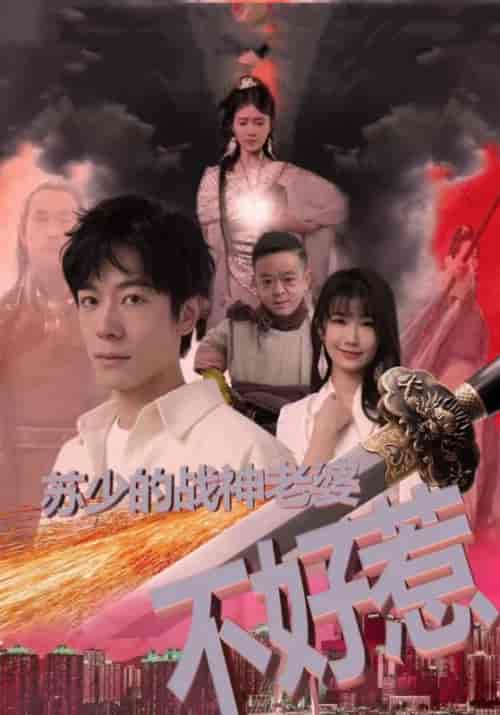 苏少的战神老婆不好惹 苏少的战神老婆不好惹