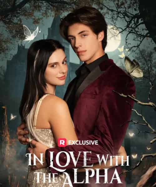 倾心于阿尔法＆爱上阿尔法（72集全）海外剧-紫橙网创项目网