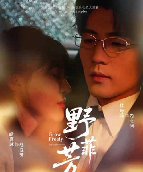 野芳菲（60集）喻嘉琳＆杜培源 - 紫橙阁短剧