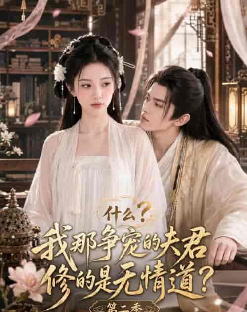 什么？我那争宠的夫君修的是无情道？第二季（91集全）AI短剧-紫橙网创项目网
