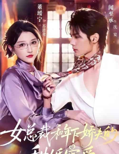 女总裁和年下娇夫的甜婚蜜爱（68集全）闻至承＆董瑷宁-紫橙网创项目网