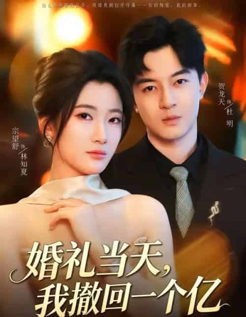 婚礼当天,我撤回一个亿(51集全)宗妍初&贺龙天-紫橙网创项目网
