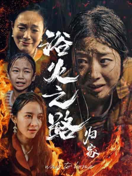 浴火之路归家（34集全） - 紫橙阁短剧