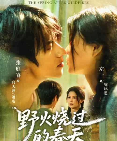 野火烧过的春天(85集全)张庭睿&左一-紫橙网创项目网