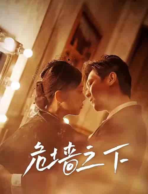 危墙之下（72集）-紫橙网创项目网