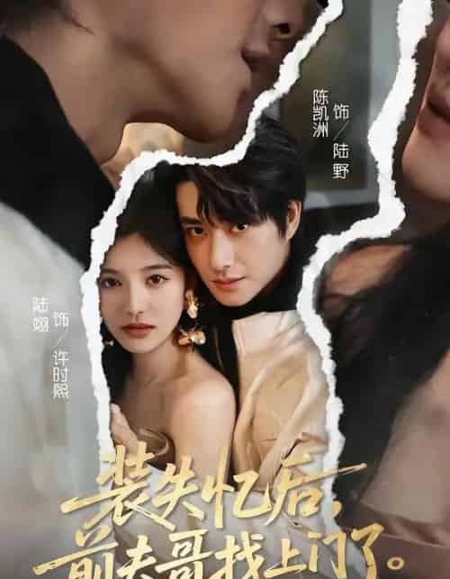 装失忆后,前夫哥找上门了(60集全)陈凯洲&陆翊-紫橙网创项目网