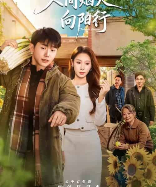 人间烟火向阳行（65集全）姚鸣萧＆许少卿 - 紫橙阁短剧