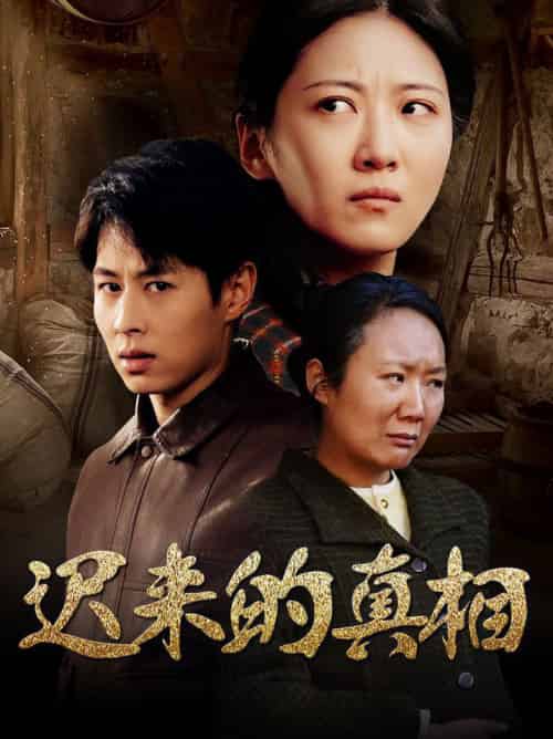 迟来的真相＆因果（57集全） - 紫橙阁短剧