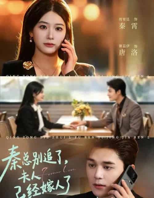 秦总别追了，夫人已经嫁人了（80集全）周宥廷＆谢蕊伊-紫橙网创项目网