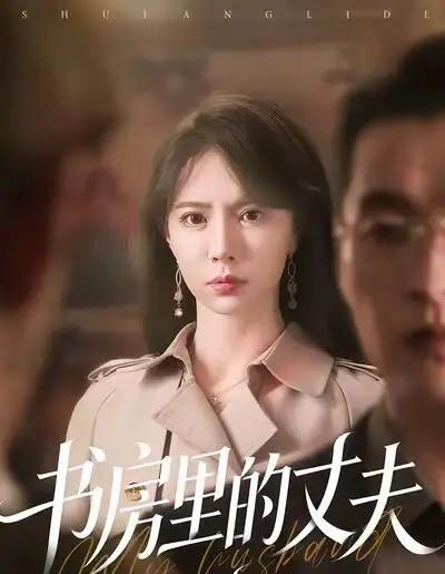 书房里的丈夫（100集全）辛宛柔＆赵焕城-紫橙网创项目网